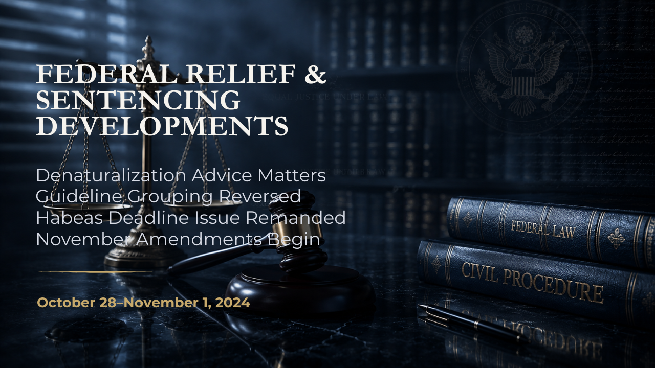 Federal Relief & Sentencing Developments — October 28–November 1, 2024